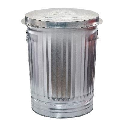 31-Gallon Galvanized Steel Trash Can with Lid D835