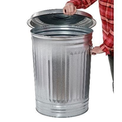 31-Gallon Galvanized Steel Trash Can with Lid D835