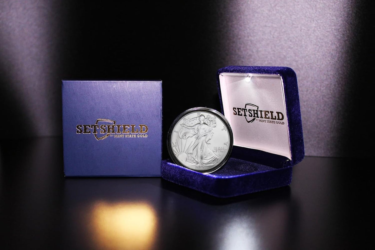 1 oz American Silver Eagle Coin with LED Presentation Box L5047