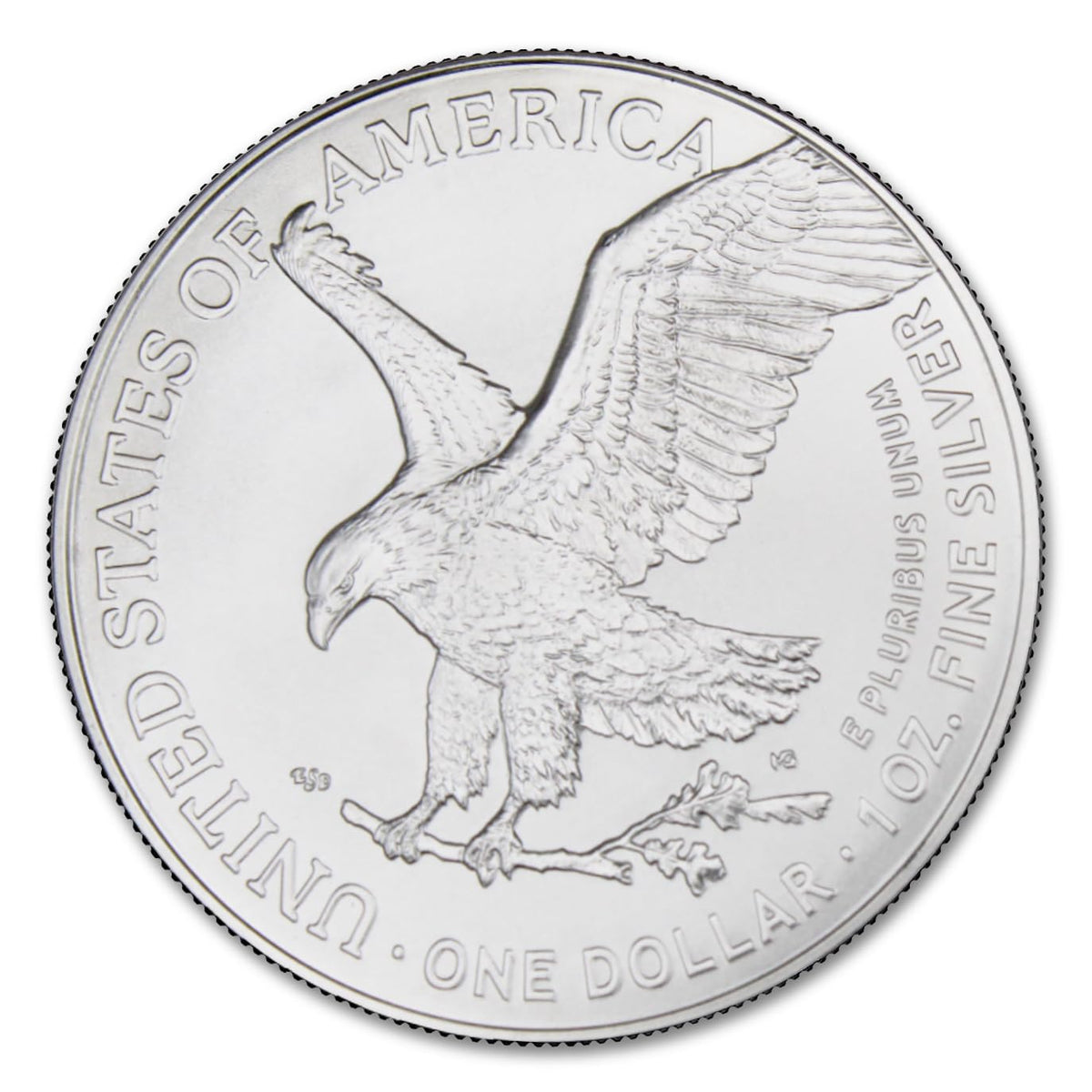 1 oz American Silver Eagle Coin with LED Presentation Box L5047