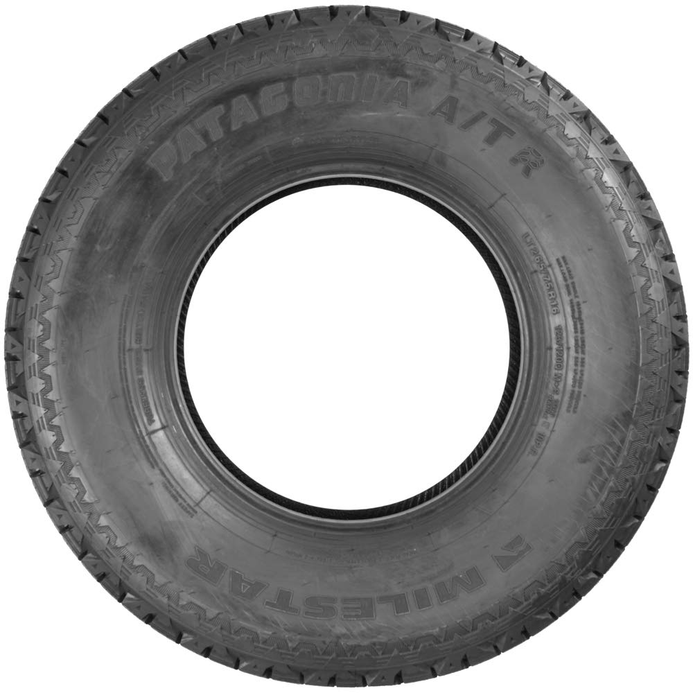 275/60R20 115T SL All Season 20 inch Tire Y29010