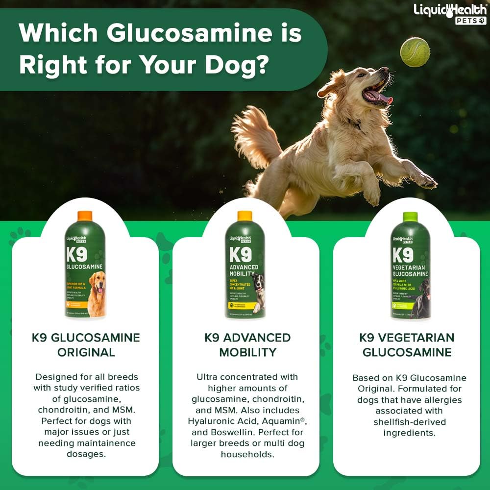 Liquid Glucosamine for Dogs with Chondroitin MSM 32 oz S3047
