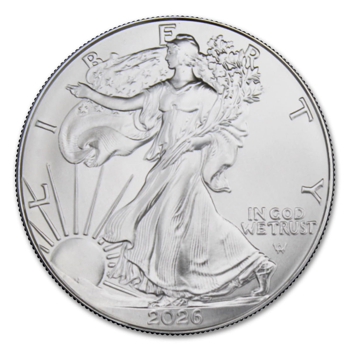1 oz American Silver Eagle Coin with LED Presentation Box L5047