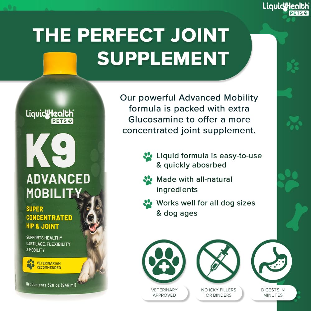 Liquid Glucosamine for Dogs with Chondroitin MSM 32 oz S3047