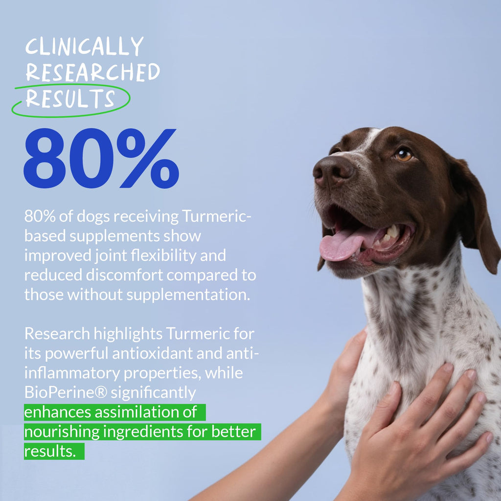 Turmeric for Dogs 120 ct Y63816