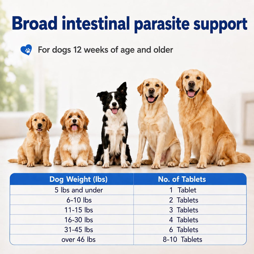 Dewormer for Dogs Z4606