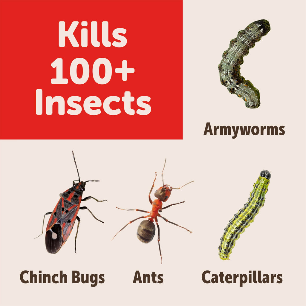 Garden Insect Killer Granules G57707