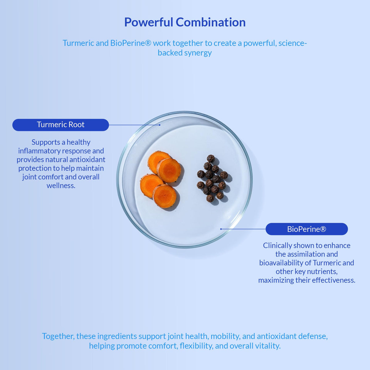 Turmeric for Dogs 120 ct Y63816