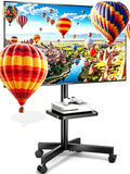 Height Adjustable Rolling TV Stand E537