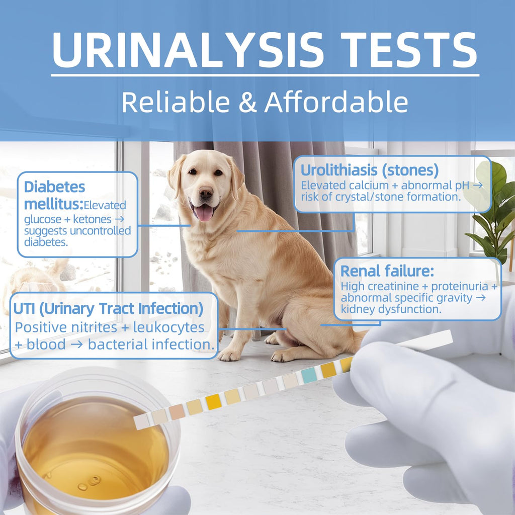 Dog & Cat UTI Blood Test Strips 100ct Y5882