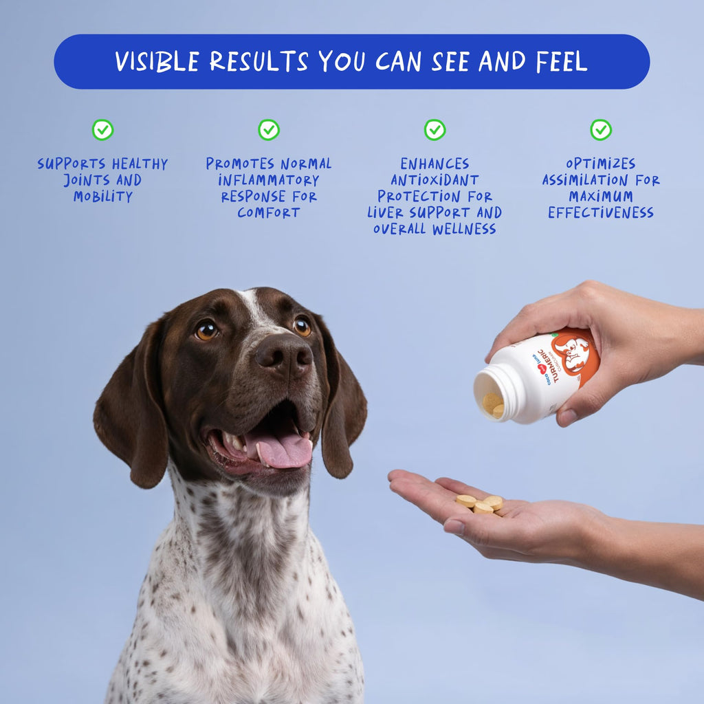 Turmeric for Dogs 120 ct Y63816