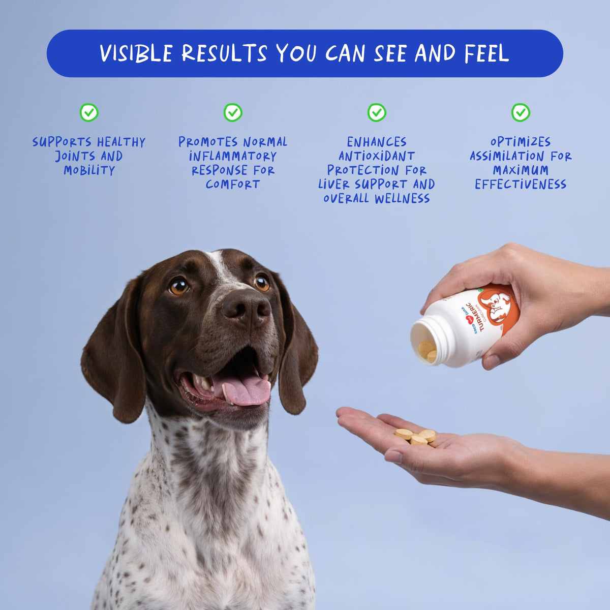 Turmeric for Dogs 120 ct Y63816