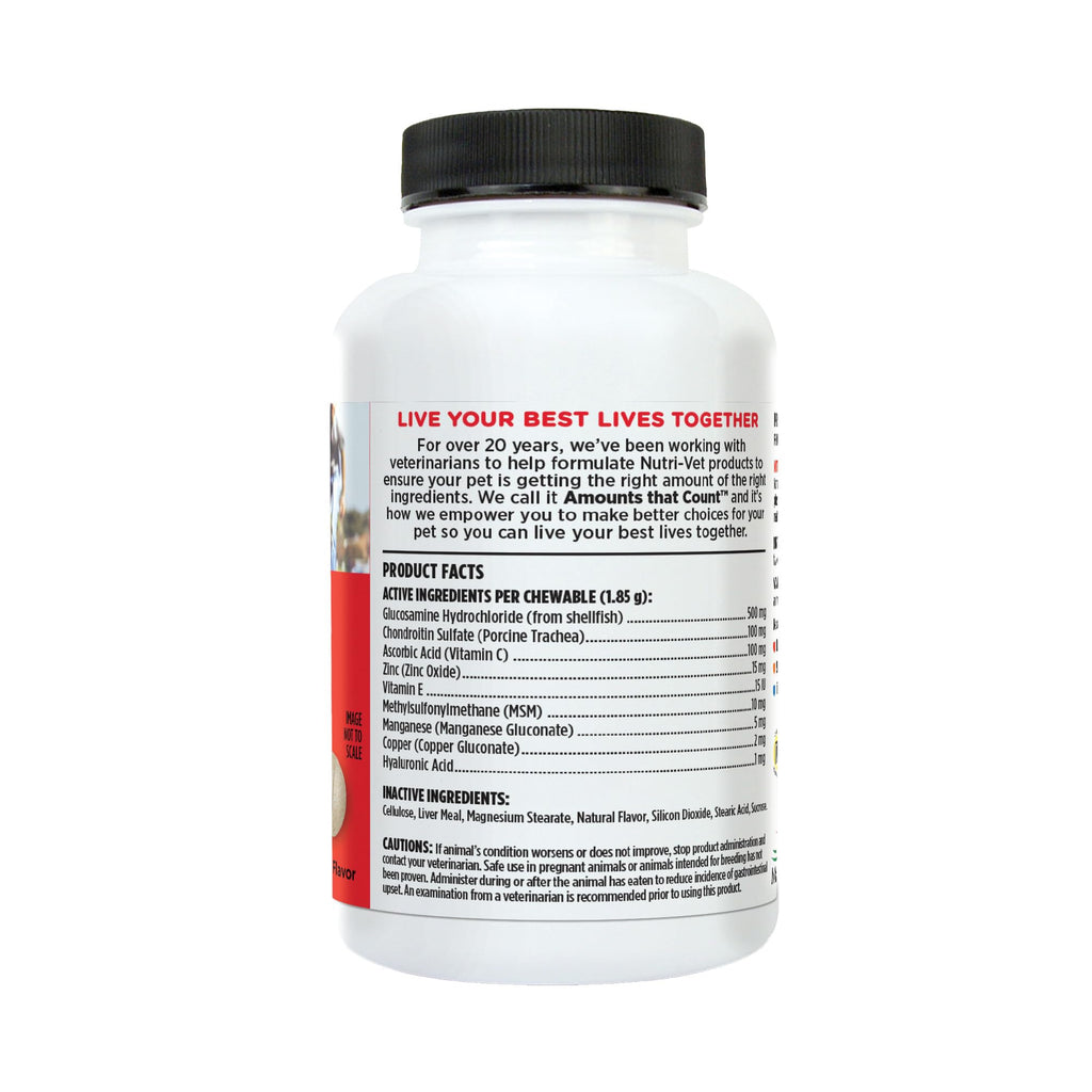 Dog Supplement, 500mg Glucosamine, 75 Count E668