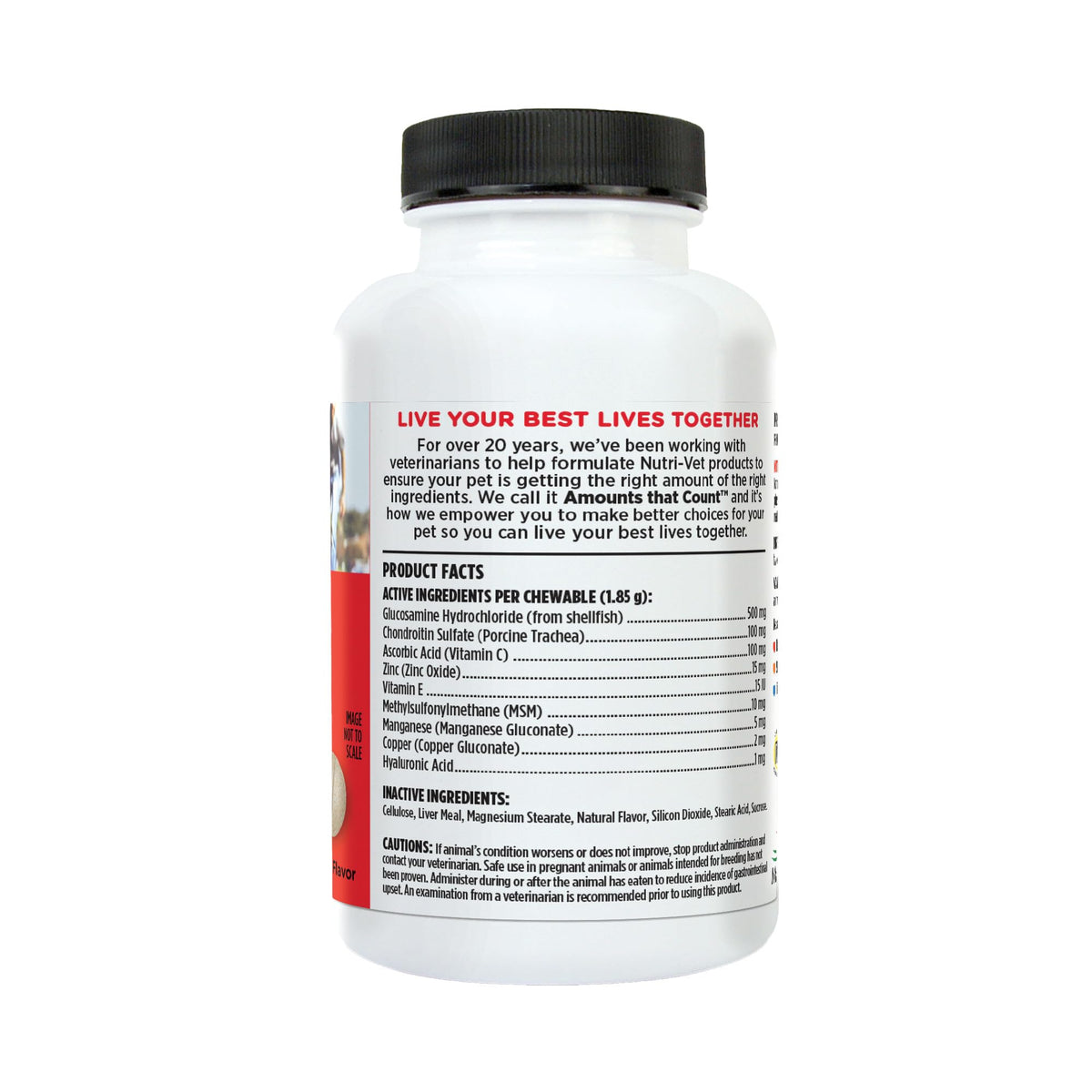Dog Supplement, 500mg Glucosamine, 75 Count E668