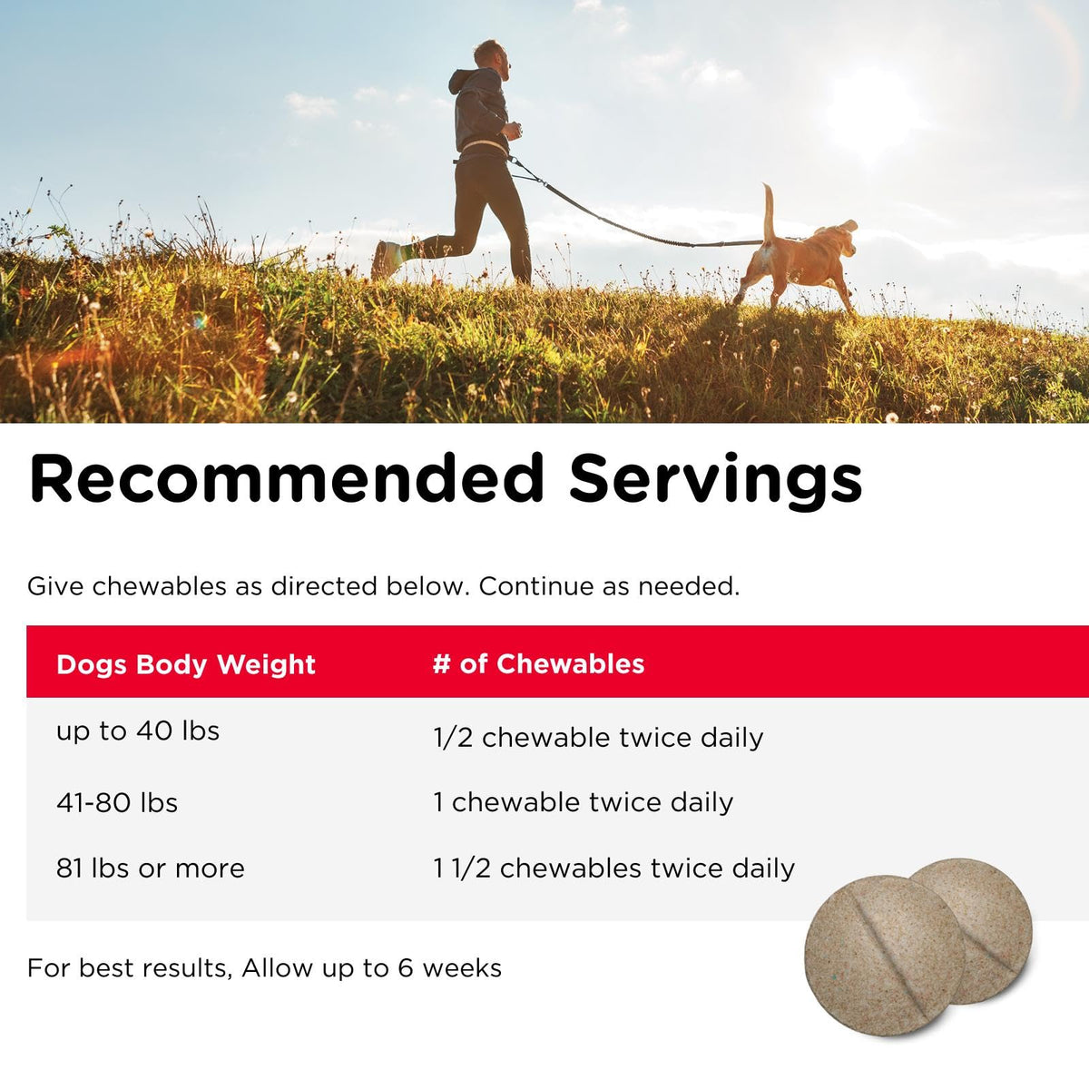 Dog Supplement, 500mg Glucosamine, 75 Count E668