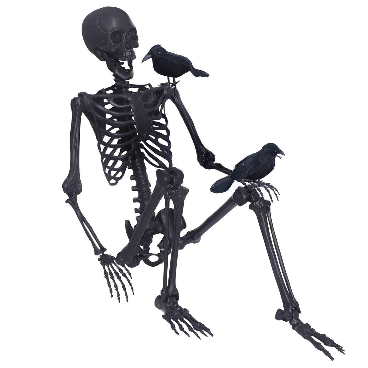 5.4Ft Posable Skeleton with Movable Joints and 2PC Black Feathered Crows I55895