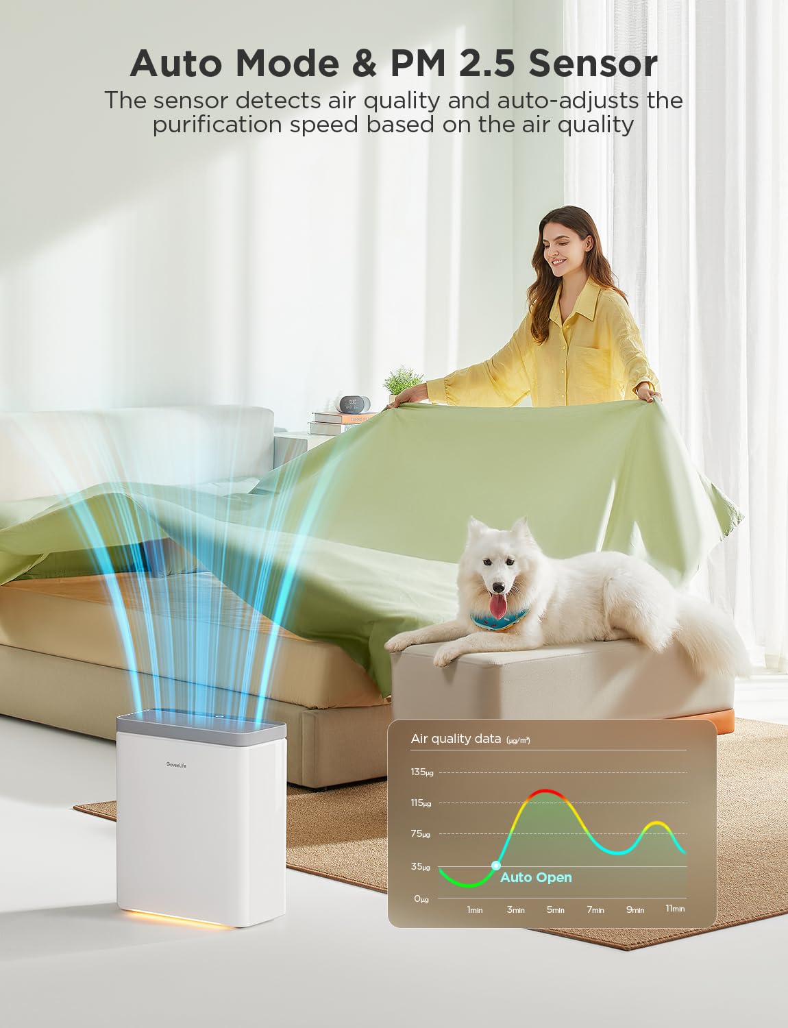 Dehumidifier with Air Purifier O97908