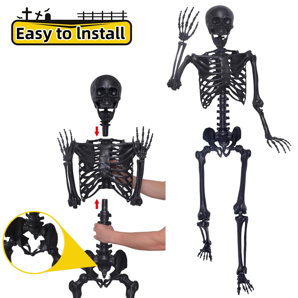5.4Ft Posable Skeleton with Movable Joints and 2PC Black Feathered Crows I55895