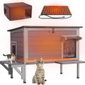 Heated Outdoor Cat House with Heating Pad R925