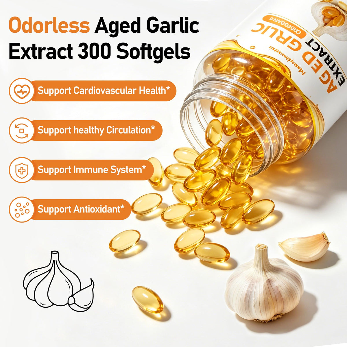Aged Garlic Extract 300 Softgels Z383