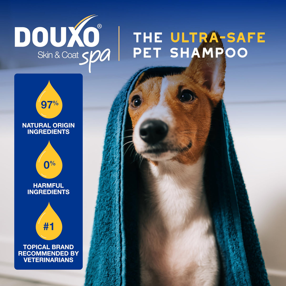 Oatmeal Dog Conditioner, 16 fl oz T204