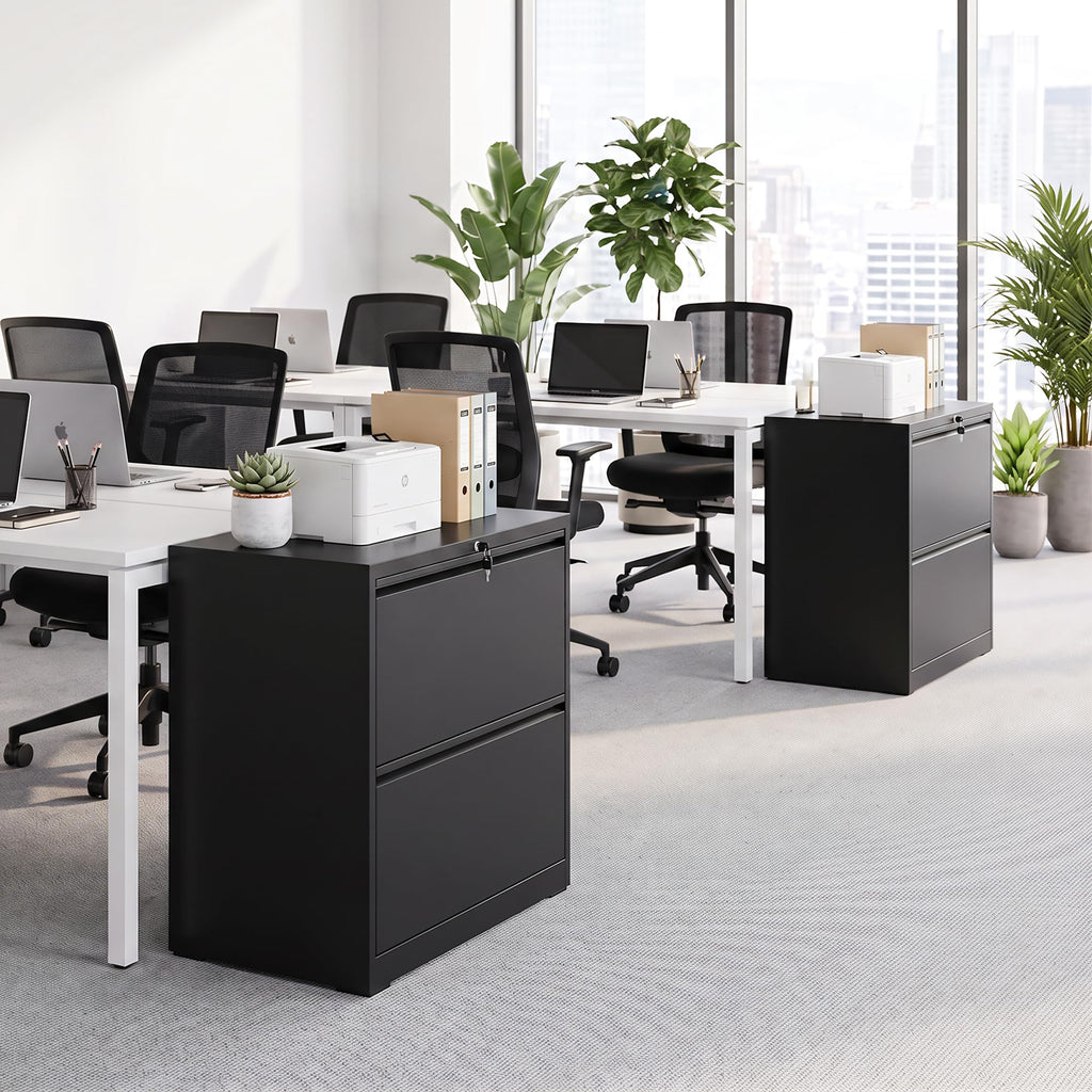 2 Drawer Metal File Cabinet with Lock F91706