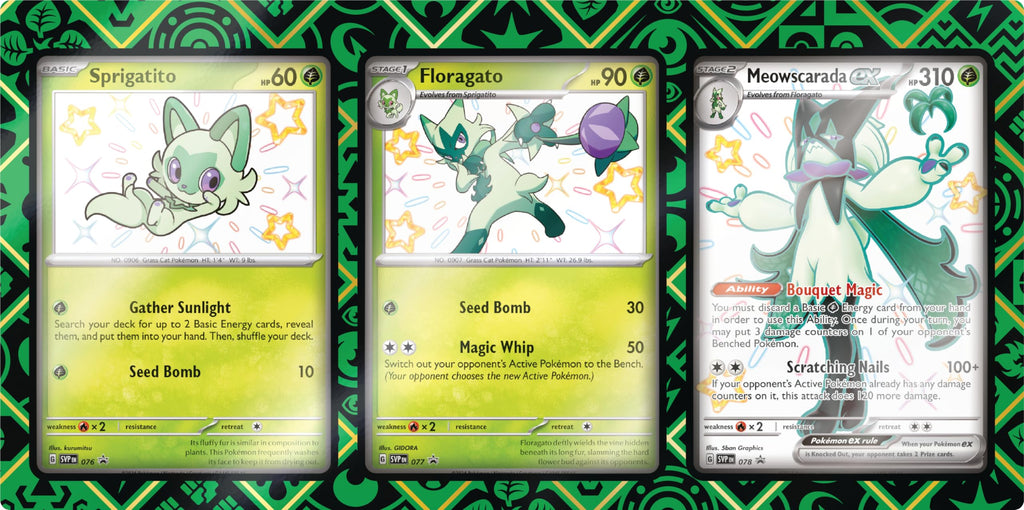 Pokemon TCG Premium Collection O80504