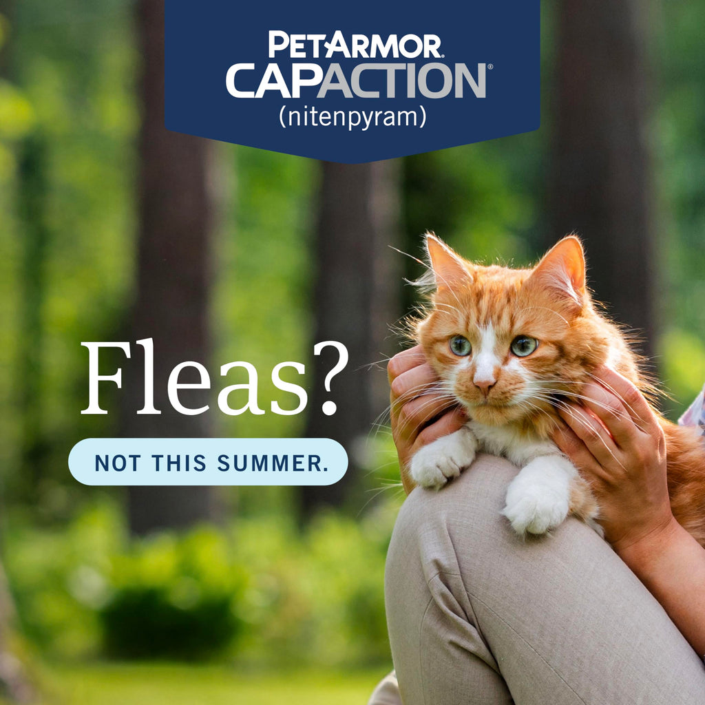 Oral Flea Tablets Cats 2-25 lbs, Nitenpyram, 6-Dose P3321