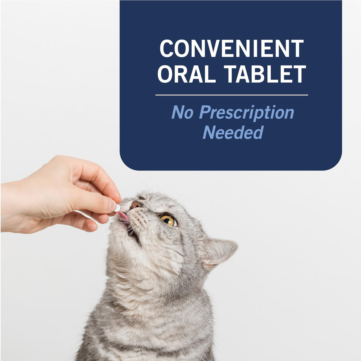 Oral Flea Tablets Cats 2-25 lbs, Nitenpyram, 6-Dose P3321
