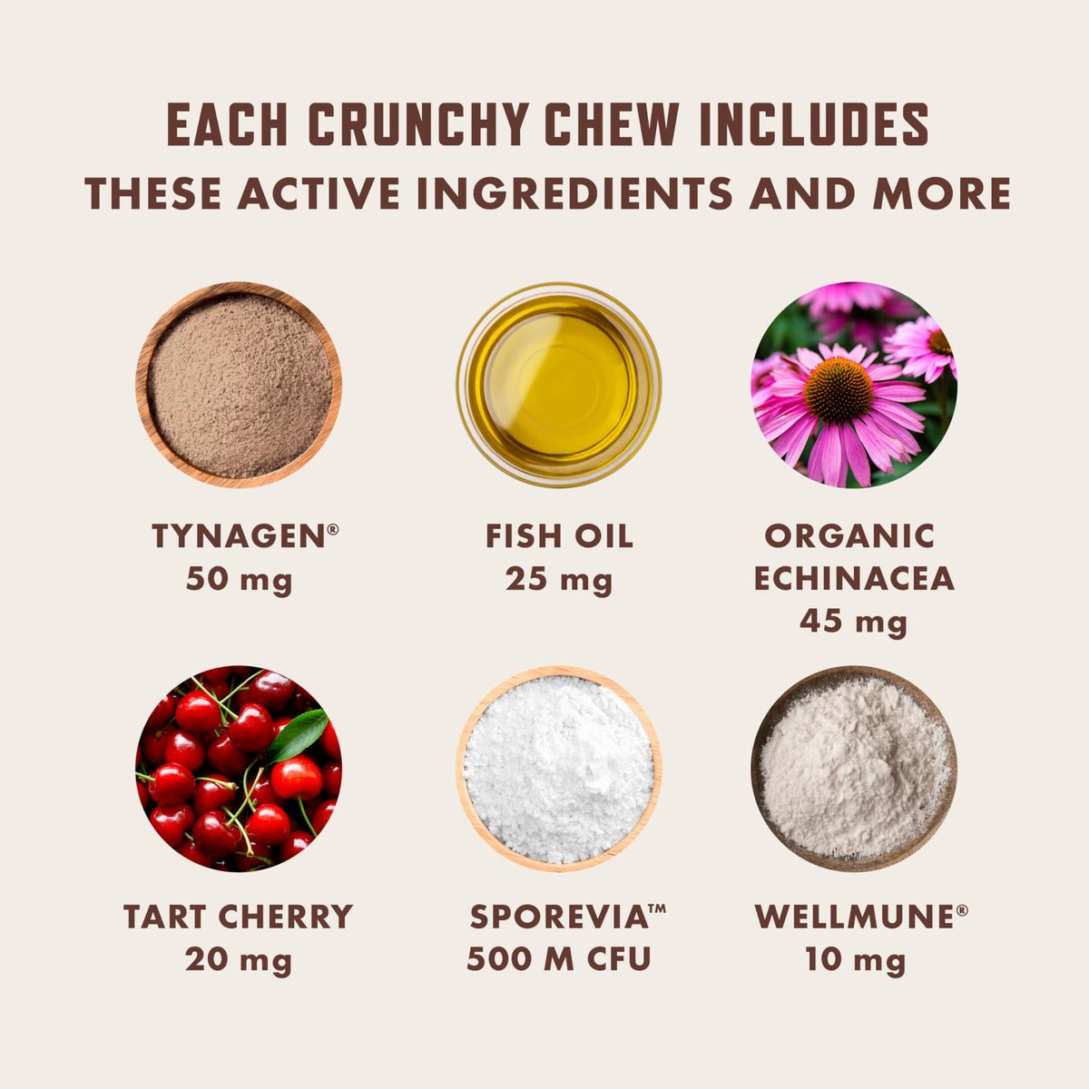 Cat Allergy Relief Chews with Probiotics & Fish Oil Y9452