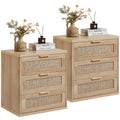 Rattan 23" Nightstands Set of 2 with Drawers N3612