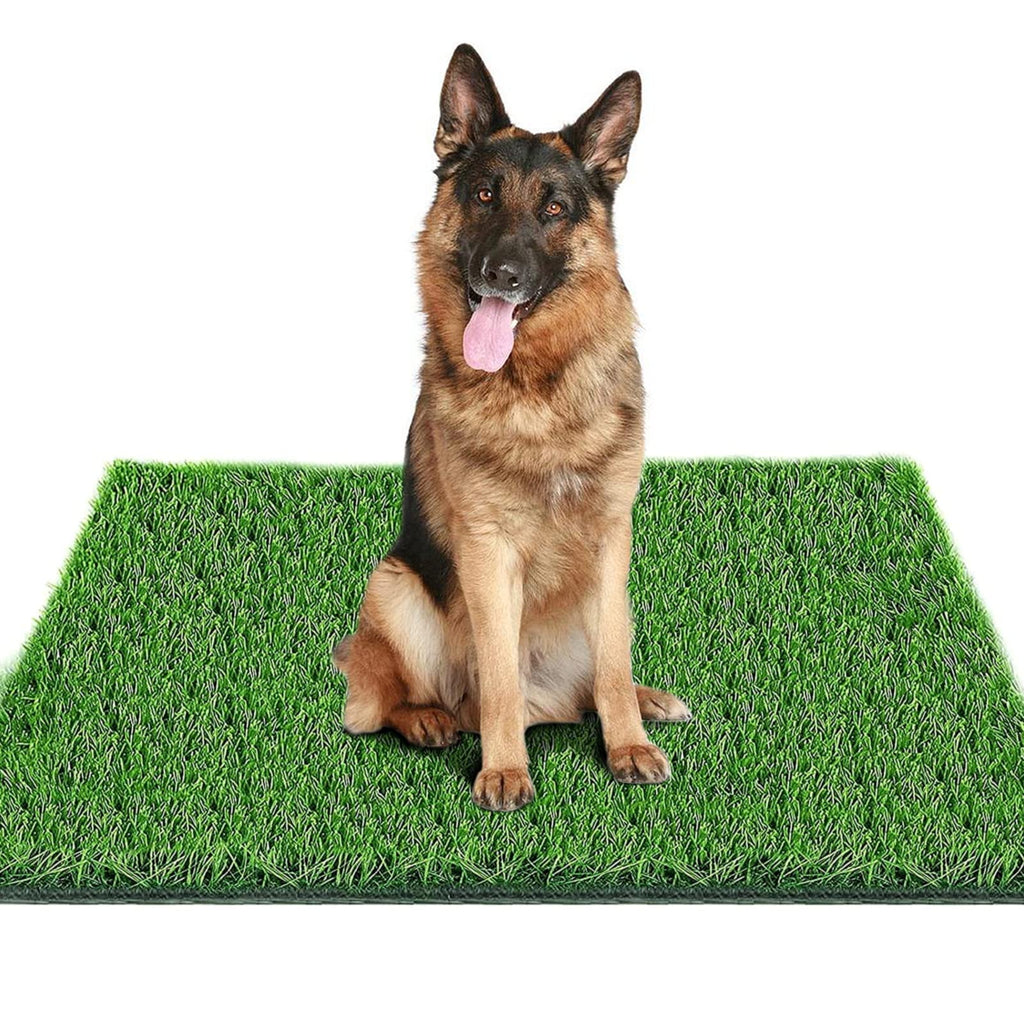 39.3 in X 31.5 in Reusable Artificial Grass Pad for Dogs X603
