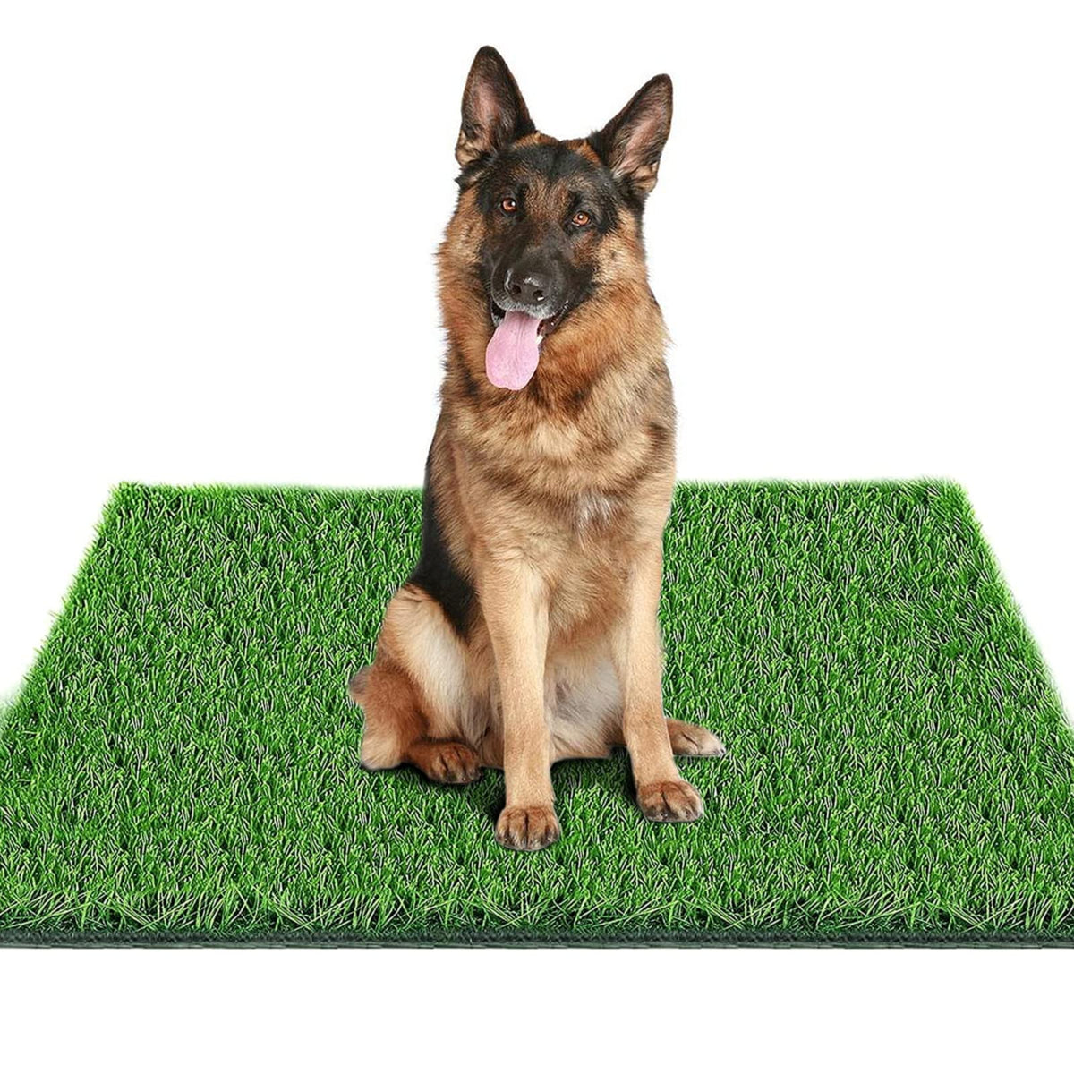 39.3 in X 31.5 in Reusable Artificial Grass Pad for Dogs X603