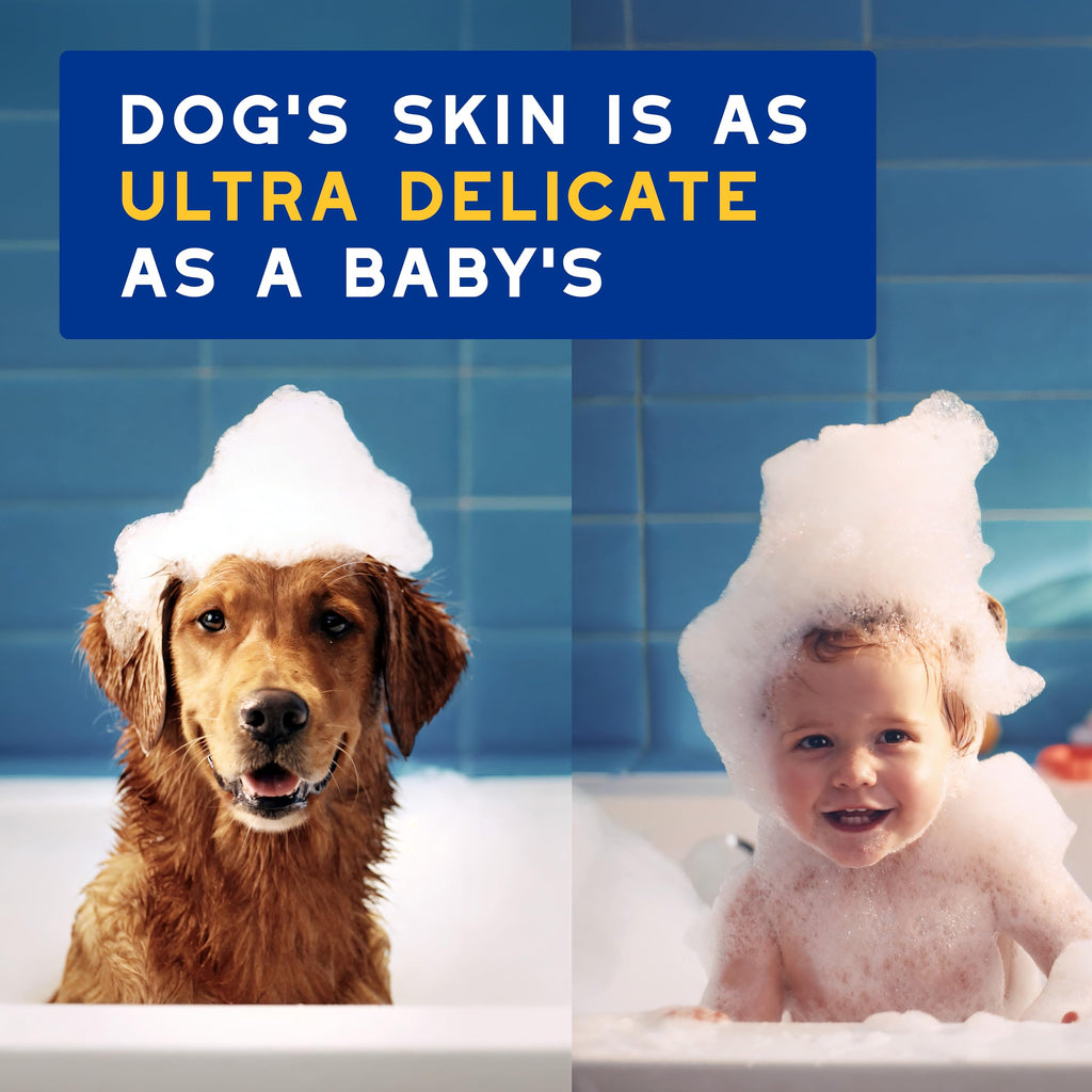 Oatmeal Dog Conditioner, 16 fl oz T204