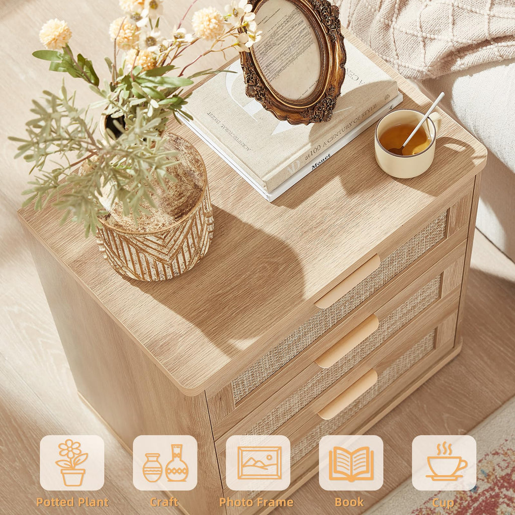 Rattan 23" Nightstands Set of 2 with Drawers N3612