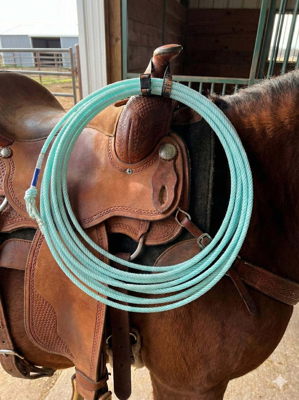 Elastic Nylon Rope Holder Strap for Saddle J52607