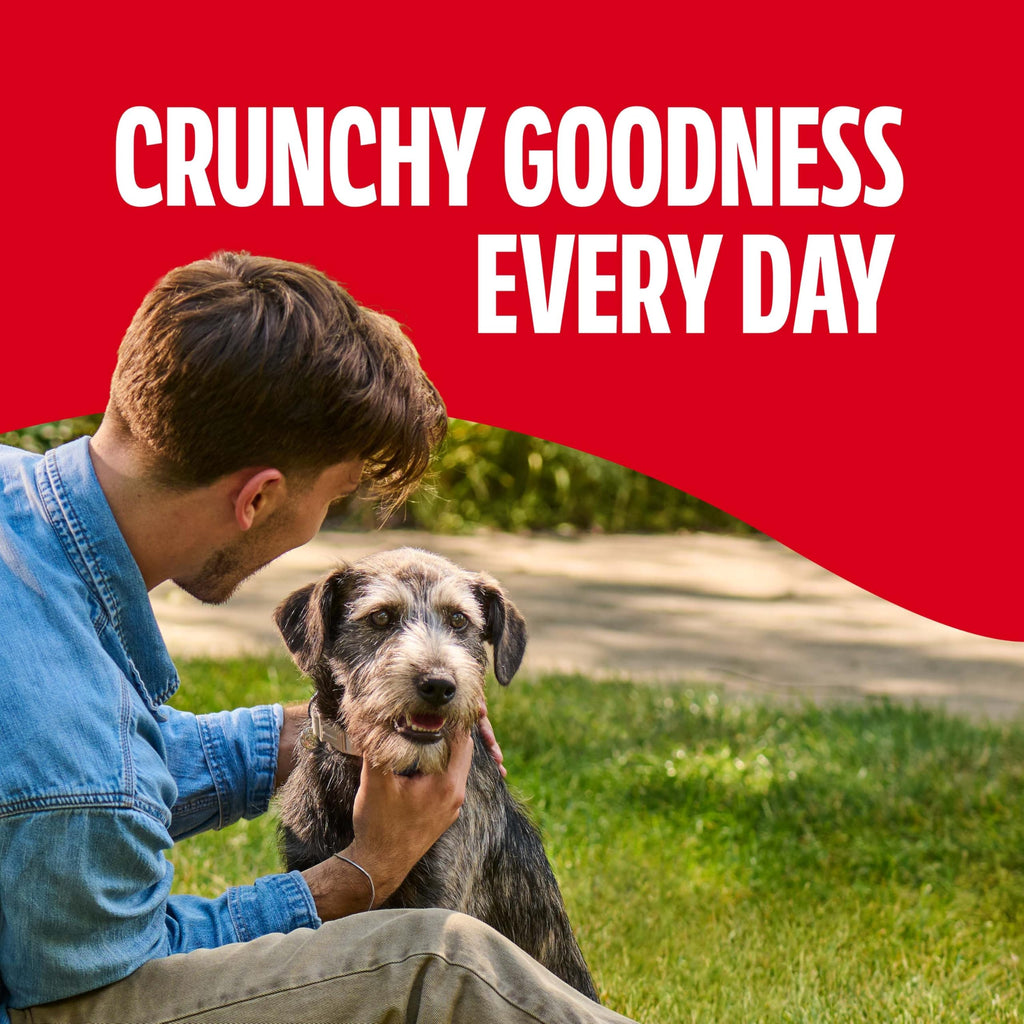 Gravy Coated Small Dog Biscuits L185