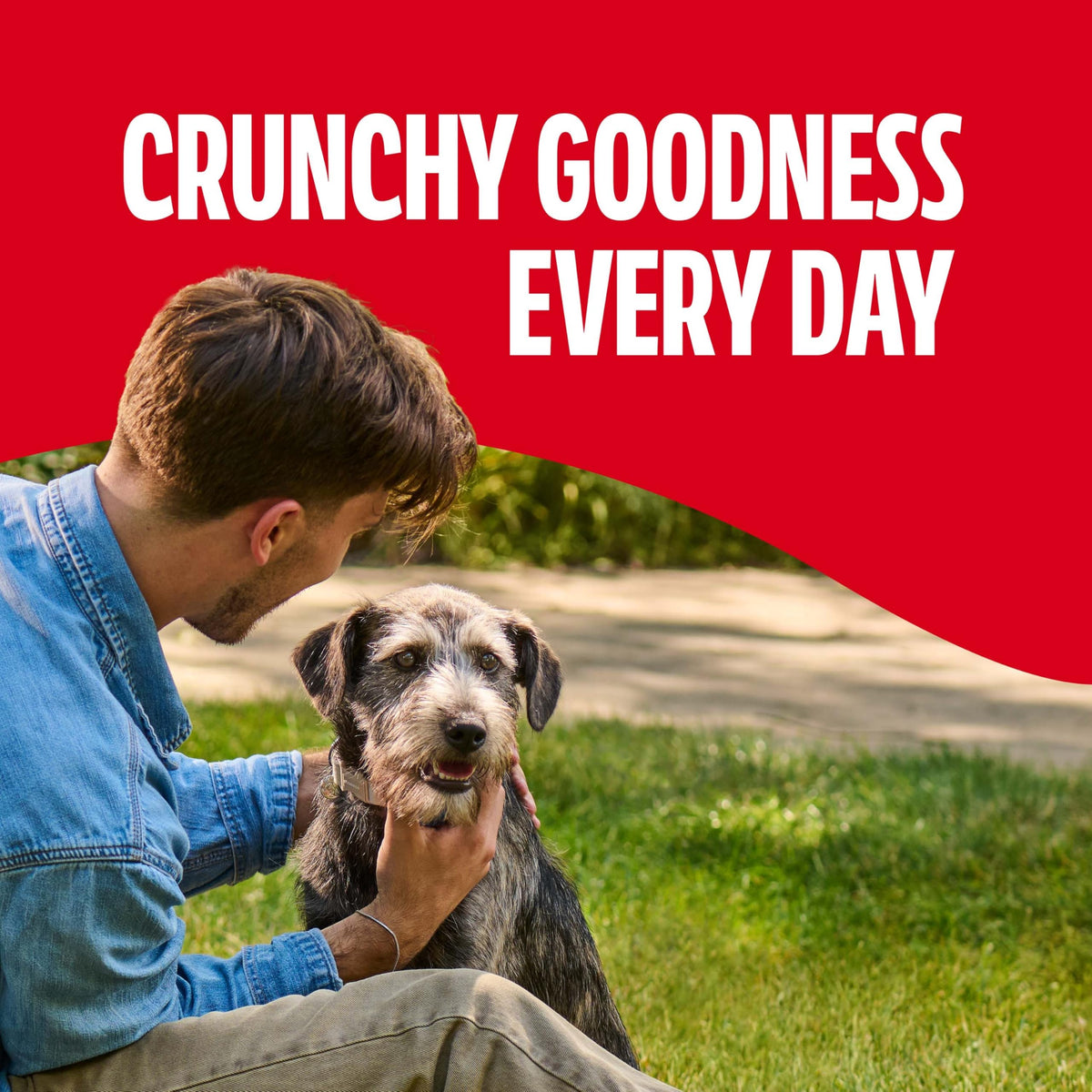 Gravy Coated Small Dog Biscuits L185