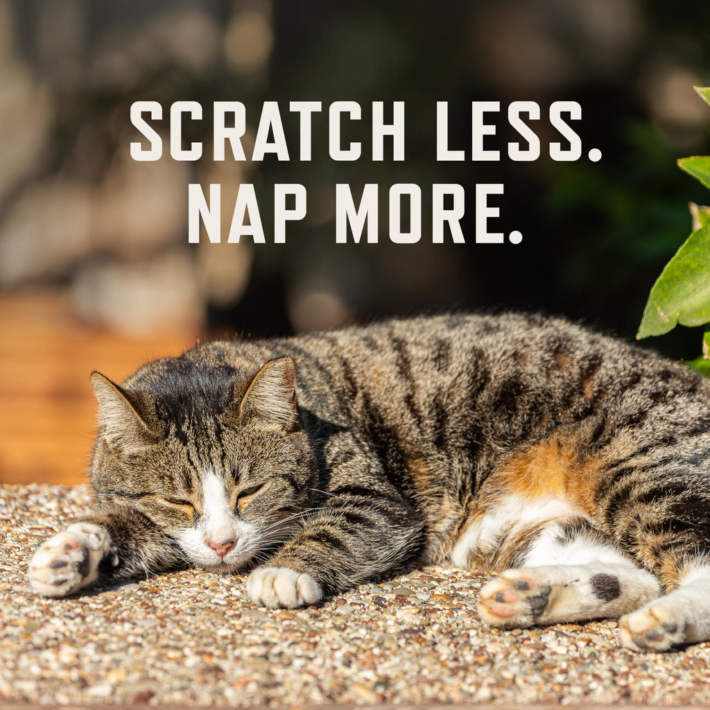 Cat Allergy Relief Chews with Probiotics & Fish Oil Y9452