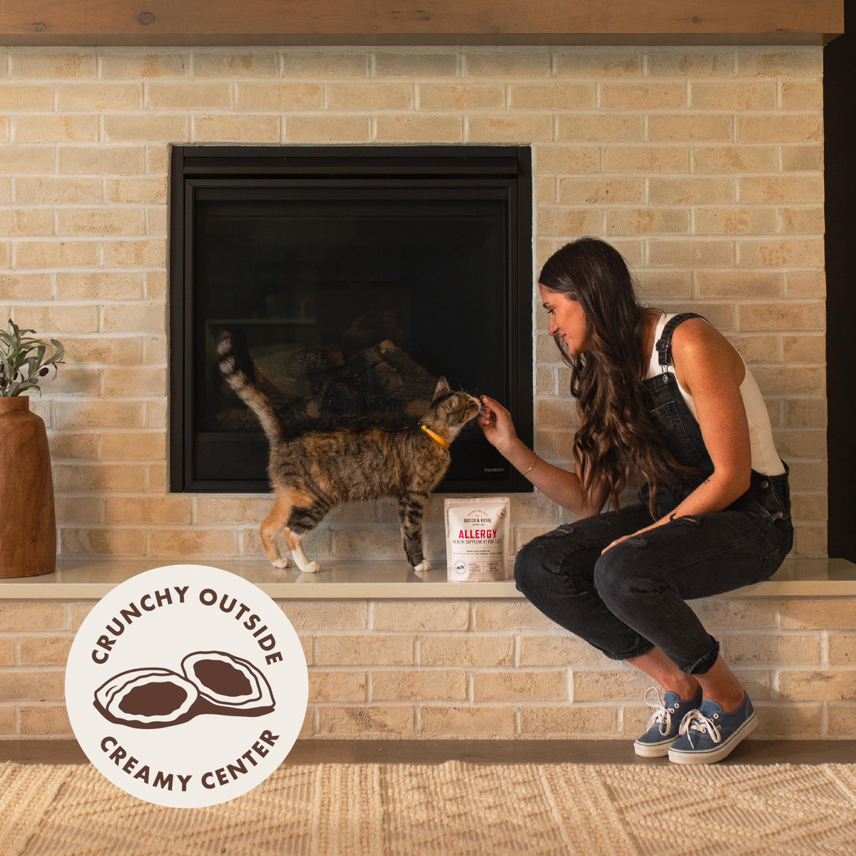 Cat Allergy Relief Chews with Probiotics & Fish Oil Y9452