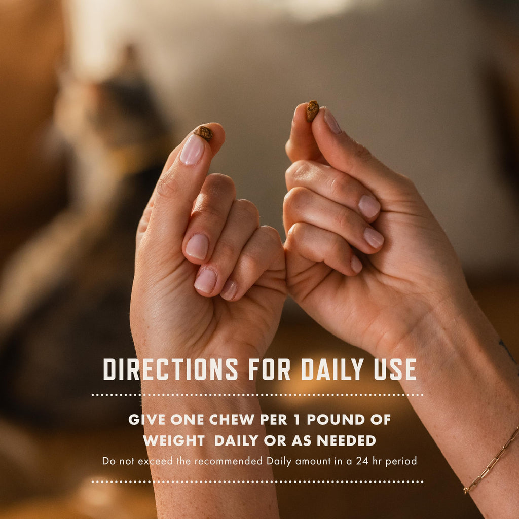 Cat Allergy Relief Chews with Probiotics & Fish Oil Y9452